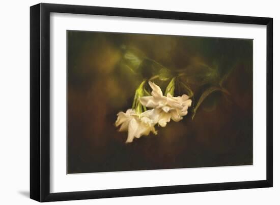 Gardenia in the Garden-Jai Johnson-Framed Giclee Print