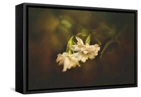 Gardenia in the Garden-Jai Johnson-Framed Stretched Canvas