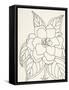 Gardenia Line Drawing Crop-Moira Hershey-Framed Stretched Canvas