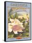 Gardenia-Kerne Erickson-Framed Stretched Canvas