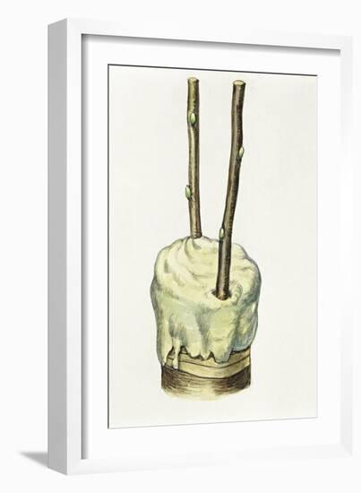 Gardening, Crown Grafting-null-Framed Giclee Print