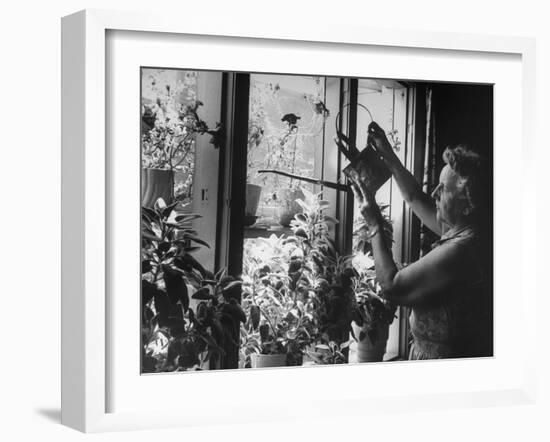 Gardening Enthusiast-null-Framed Photographic Print