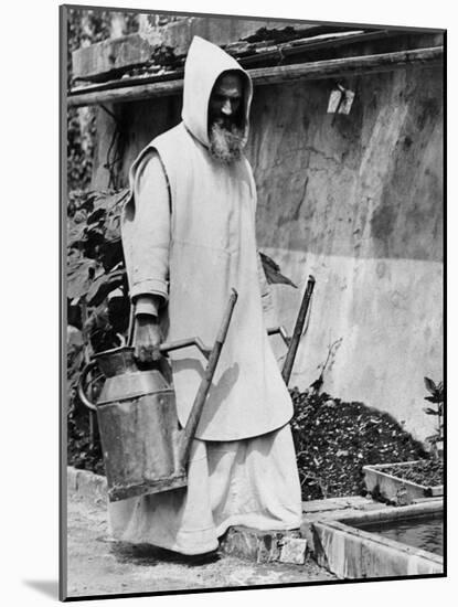 Gardening Monk-null-Mounted Photographic Print