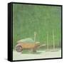 Gardening Still Life, 1985-Lincoln Seligman-Framed Stretched Canvas