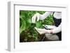 Gardening Technician Checking Greenhouse Plants-vladteodor-Framed Photographic Print