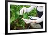 Gardening Technician Checking Greenhouse Plants-vladteodor-Framed Photographic Print