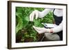 Gardening Technician Checking Greenhouse Plants-vladteodor-Framed Photographic Print