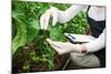 Gardening Technician Checking Greenhouse Plants-vladteodor-Mounted Photographic Print