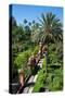 Gardens, Alcazar, UNESCO World Heritage Site, Seville, Andalusia, Spain, Europe-Ethel Davies-Stretched Canvas