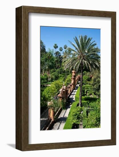 Gardens, Alcazar, UNESCO World Heritage Site, Seville, Andalusia, Spain, Europe-Ethel Davies-Framed Photographic Print