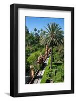 Gardens, Alcazar, UNESCO World Heritage Site, Seville, Andalusia, Spain, Europe-Ethel Davies-Framed Photographic Print