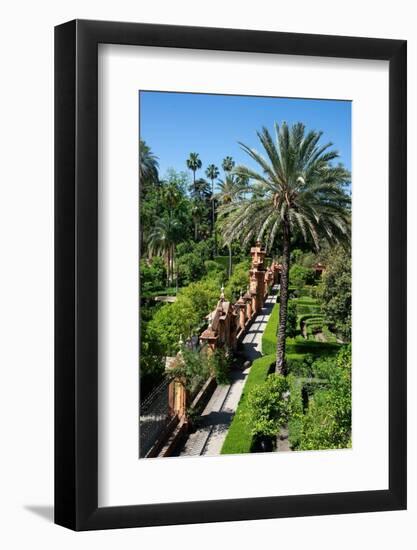 Gardens, Alcazar, UNESCO World Heritage Site, Seville, Andalusia, Spain, Europe-Ethel Davies-Framed Photographic Print