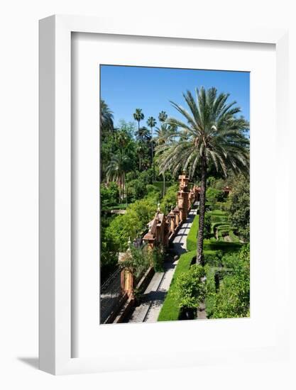 Gardens, Alcazar, UNESCO World Heritage Site, Seville, Andalusia, Spain, Europe-Ethel Davies-Framed Photographic Print