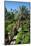 Gardens, Alcazar, UNESCO World Heritage Site, Seville, Andalusia, Spain, Europe-Ethel Davies-Mounted Photographic Print