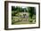 Gardens at the Palace of Linderhof, King Ludwig the Second's Royal Villa, Bavaria, Germany, Europe-Robert Harding-Framed Photographic Print