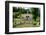 Gardens at the Palace of Linderhof, King Ludwig the Second's Royal Villa, Bavaria, Germany, Europe-Robert Harding-Framed Photographic Print