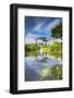 Gardens by the Bay and Marina Bay Sands Hotel, Singapore-Ian Trower-Framed Photographic Print