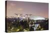 Gardens by the Bay Cloud Forest Botanic Garden, Singapore, Southeast Asia, Asia-Christian Kober-Stretched Canvas