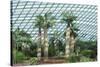 Gardens by the Bay, Flower Garden, Botanic Gardens, Singapore, Southeast Asia, Asia-Christian Kober-Stretched Canvas