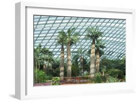 Gardens by the Bay, Flower Garden, Botanic Gardens, Singapore, Southeast Asia, Asia-Christian Kober-Framed Photographic Print