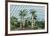 Gardens by the Bay, Flower Garden, Botanic Gardens, Singapore, Southeast Asia, Asia-Christian Kober-Framed Photographic Print