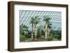 Gardens by the Bay, Flower Garden, Botanic Gardens, Singapore, Southeast Asia, Asia-Christian Kober-Framed Photographic Print