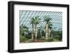 Gardens by the Bay, Flower Garden, Botanic Gardens, Singapore, Southeast Asia, Asia-Christian Kober-Framed Photographic Print