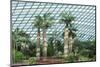 Gardens by the Bay, Flower Garden, Botanic Gardens, Singapore, Southeast Asia, Asia-Christian Kober-Mounted Photographic Print