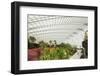 Gardens by the Bay, Flower Garden, Botanic Gardens, Singapore, Southeast Asia, Asia-Christian Kober-Framed Photographic Print