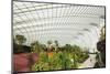 Gardens by the Bay, Flower Garden, Botanic Gardens, Singapore, Southeast Asia, Asia-Christian Kober-Mounted Photographic Print