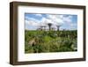 Gardens by the Bay, Singapore, Southeast Asia-Frank Fell-Framed Photographic Print