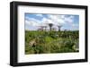 Gardens by the Bay, Singapore, Southeast Asia-Frank Fell-Framed Photographic Print