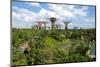 Gardens by the Bay, Singapore, Southeast Asia-Frank Fell-Mounted Photographic Print