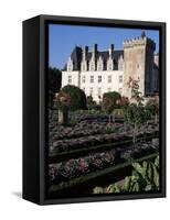 Gardens, Chateau De Villandry, Indre-Et-Loire, Loire Valley, Centre, France-Guy Thouvenin-Framed Stretched Canvas