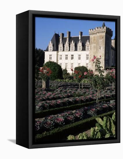 Gardens, Chateau De Villandry, Indre-Et-Loire, Loire Valley, Centre, France-Guy Thouvenin-Framed Stretched Canvas