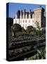 Gardens, Chateau De Villandry, Indre-Et-Loire, Loire Valley, Centre, France-Guy Thouvenin-Stretched Canvas