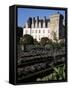 Gardens, Chateau De Villandry, Indre-Et-Loire, Loire Valley, Centre, France-Guy Thouvenin-Framed Stretched Canvas
