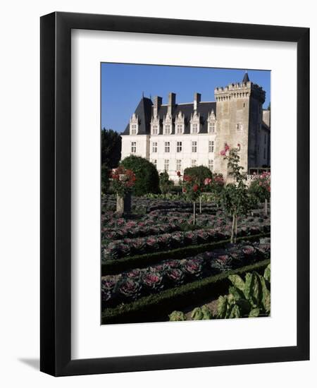 Gardens, Chateau De Villandry, Indre-Et-Loire, Loire Valley, Centre, France-Guy Thouvenin-Framed Photographic Print