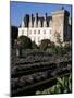 Gardens, Chateau De Villandry, Indre-Et-Loire, Loire Valley, Centre, France-Guy Thouvenin-Mounted Photographic Print