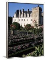 Gardens, Chateau De Villandry, Indre-Et-Loire, Loire Valley, Centre, France-Guy Thouvenin-Framed Photographic Print