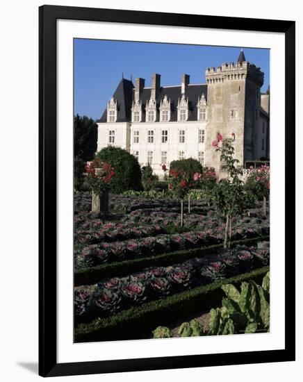 Gardens, Chateau De Villandry, Indre-Et-Loire, Loire Valley, Centre, France-Guy Thouvenin-Framed Photographic Print