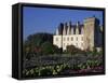 Gardens, Chateau De Villandry, Loire Valley, Centre, France, Europe-Thouvenin Guy-Framed Stretched Canvas