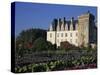 Gardens, Chateau De Villandry, Loire Valley, Centre, France, Europe-Thouvenin Guy-Stretched Canvas