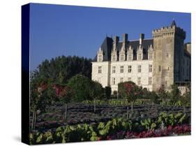 Gardens, Chateau De Villandry, Loire Valley, Centre, France, Europe-Thouvenin Guy-Stretched Canvas