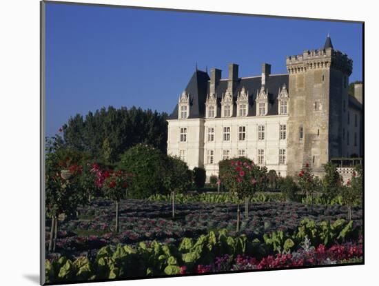 Gardens, Chateau De Villandry, Loire Valley, Centre, France, Europe-Thouvenin Guy-Mounted Photographic Print