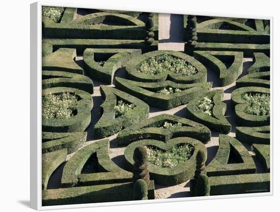 Gardens, Chateau De Villandry, Loire Valley, Centre, France-Guy Thouvenin-Framed Photographic Print