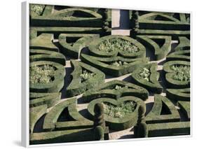 Gardens, Chateau De Villandry, Loire Valley, Centre, France-Guy Thouvenin-Framed Photographic Print