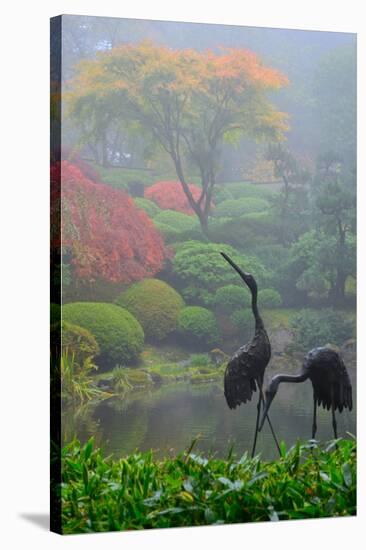 Gardens in the Fog I-Brian Moore-Stretched Canvas