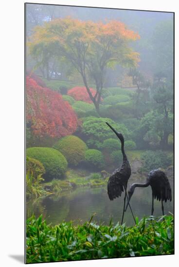 Gardens in the Fog I-Brian Moore-Mounted Photographic Print
