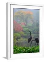 Gardens in the Fog I-Brian Moore-Framed Photographic Print